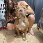 Nicholas Gant - Facebook