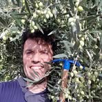 Nicholas Karras - Facebook