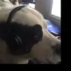 Nicholas Kasper - @nick.kasper3 - TikTok