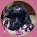 Kaye Nicholas - Facebook