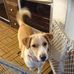 Nick Ketcham - Facebook