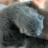 Nicholas Kidd - @nicholas.kidd - TikTok