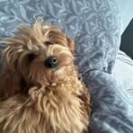Nicholas Kindel - Facebook