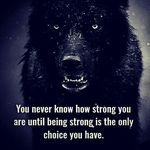 Nicholas kitchen - @kitchen.nicholas - Instagram