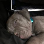 Nicholas Kitchens - @nicholas_kitchens - Instagram