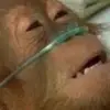 Nick - @nicholaskoss - TikTok
