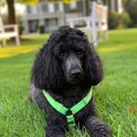 Nicholas - @nicholas_kost - Instagram