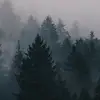 Nicholas Kokot - @nicholaskokot - TikTok
