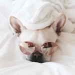 NicholasKress - @nicholaskress19 - Instagram