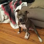 Nicholas - @krusenicholas130 - Instagram