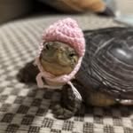 Nicholas Kula - @kula_hoops - Instagram