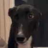 nicholas..h - @nicholas..h - TikTok