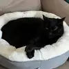 Nicholas_Kyle - @cleguards94 - TikTok