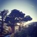 Nicholas Lackey - Facebook