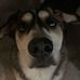 Nick Lamothe - Facebook