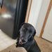 Nick Lanier - Facebook