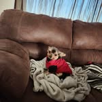 Nicholas LeClair - @theapocalypse90 - Instagram