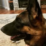 Nicholas Leger - @nicholasle9 - Instagram