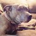 Nicholas Lindner - Facebook