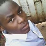 Nicholas Link Ibrahimovic - @nicholasibrahimovic - Instagram