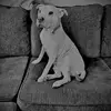 Nick Link - @nicholas.link4 - TikTok