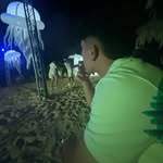 nicholas lippa - @nicholas.lippa - Instagram