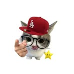 Nicholas Lopez - Facebook