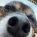 Nicholas lumsden - @lumsden.nicholas - Instagram