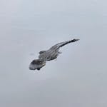 Nicholas Lundquist - @lundquist.nicholas - Instagram