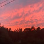 Nicholas - @nicholas_macneil - Instagram