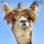 Nicholas Maher - @nmaher53 - Instagram