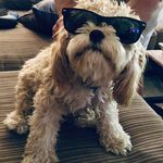 Nicholas Mahon - @nickmayo02 - Instagram