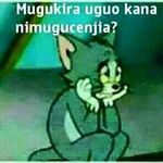 Nicholas Maina - @nicholas.maina.524 - Instagram