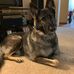 Nicholas Malinowski - Facebook