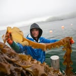 Nicholas Mangini - @kelp_cowboy - Instagram