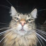 Nicholas March - @nick49128 - Instagram