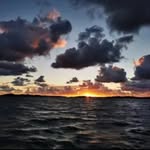 Marcus Nicholas - @nicholas_marcos309 - Instagram