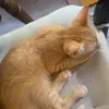 Nicholas_ markham  - @nicholasmarkham - TikTok
