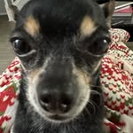 Nicholas Marks - @nicholasmarks - Instagram