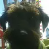 Nicholas Marks - @nicholasmarks3 - TikTok