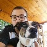 Nicholas Marostica - @nicholasmarostica - Instagram