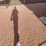Nicholas Mascia - @mascia.nicholas - Instagram