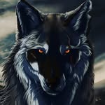 Bloodfox - @nicholas_mattice - Instagram
