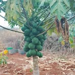 Nicholas Mutua - Facebook