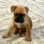 Maze - @simply_maze_nicholas - Instagram