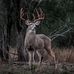 Nicholas Mcnally - Facebook