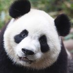 Nick - @nicholas_millican07 - Instagram