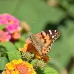 Nicholas Milton - @annesandd69 - Instagram