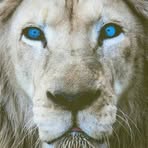 Nicholas Milton - Facebook