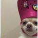 Nicholas Misner - Facebook
